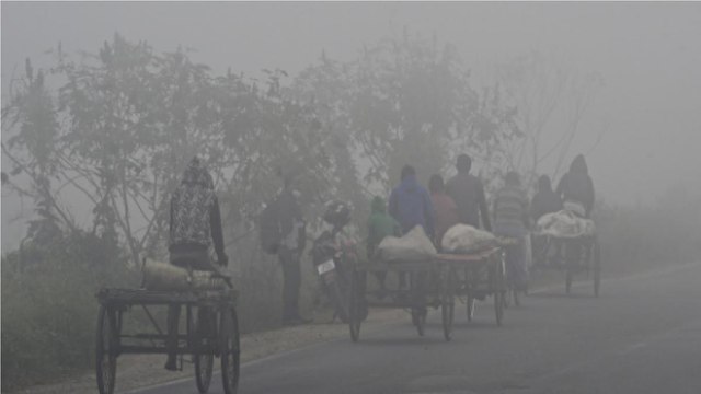 Icy winds sweep North India, Cold wave in Delhi
