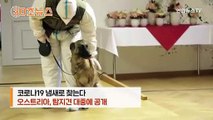 [30초뉴스] 코로나19 냄새 '궁금'…감염자 찾는 탐지견 '판타지'