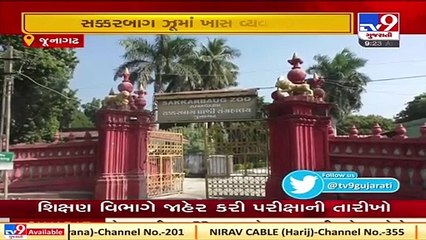 Junagadh_ Sakkarbaug zoo gears up to keep inmates warm this winter _ TV9News