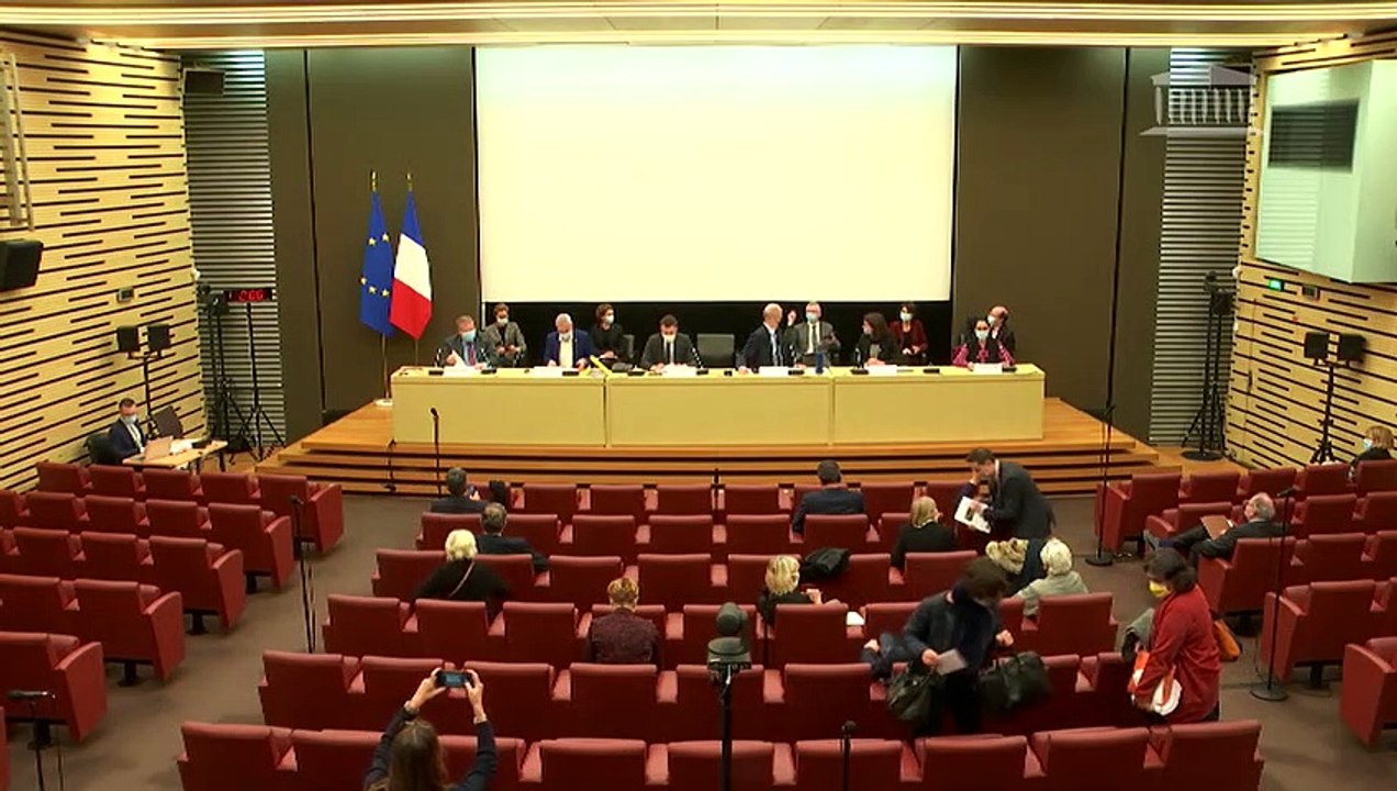 Commissions du développement durable, des affaires sociales et des affaires économiques : Suivi de la stratégie de sortie du glyphosate - Mardi 15 décembre 2020