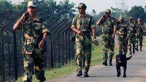 BSF thwarts infiltration bid through Attari border, 2 terrorists killed