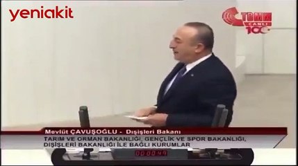 Çavuşoğlu'ndan TBMM'de tarihi konuşma: Yoksa darbe beklentiniz mi var