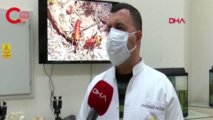 ''Önlem alınmazsa 2021'de istilaya neden olur''