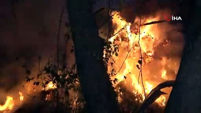 Bursa’da çiftlik alevlere teslim oldu...15 büyükbaş kurtarılamadı