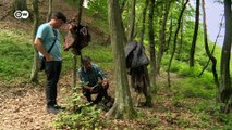 Survivors of the Srebrenica massacre