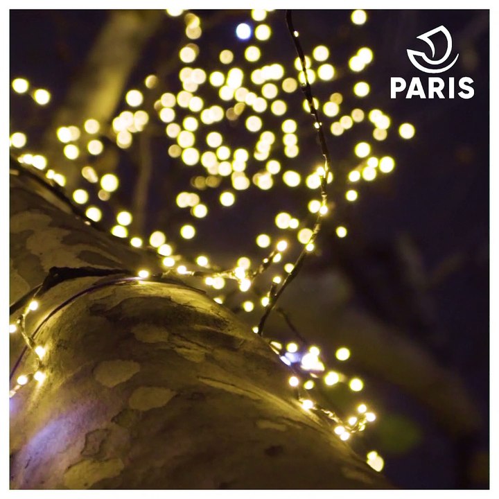 Paris Scintille : les vitrines de Noël