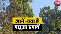 जानें-क्या हैं पछुआ हवायें, इनके चलने पर कैसे बढ़ जाती है ठंड