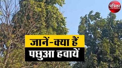 जानें-क्या हैं पछुआ हवायें, इनके चलने पर कैसे बढ़ जाती है ठंड