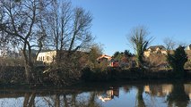 Arbres abattus le long de la Vilaine : une étape « nécessaire » pour la Région