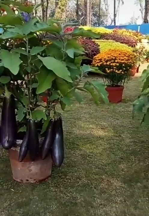 d615400c2Snap chat l tic tok l mx takatak l And Josh l all entertainment video ❤️ New TRENDING TIKTOK VIDEOS  funny video, comedy's video  tik tok fans , tiktok fans ,  cute couple tik tok  , tik tok cg video , tik tok cute couple video , tik tok cute