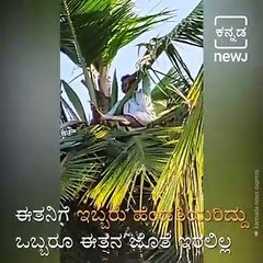 Man Spends 8 Hours Atop A Coconut Tree Demanding His Wives To Return