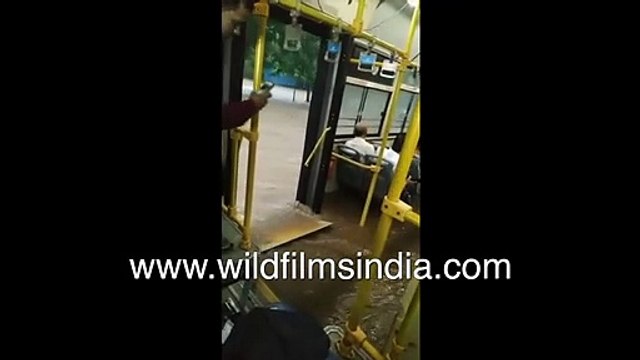 Water fills moving bus, building basement, cattle and human on rooftop_ Maharashtra Flood sights