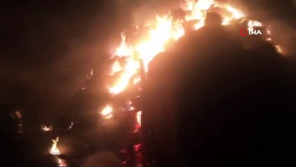 Hayvanları için almıştı, hepsi yangında kül oldu