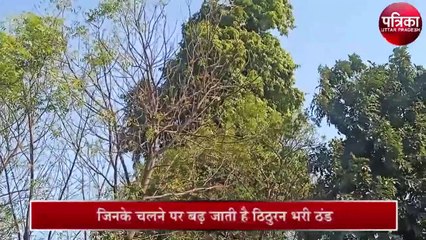 जानें- क्या होती हैं पछुआ हवायें