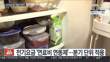 연료비 오르면 전기요금 더 내…'환경비용' 별도 고지