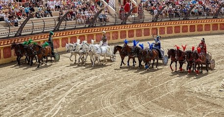 Quatre employés du Puy du Fou dénoncent des cas graves de maltraitance animale dans le parc à thème