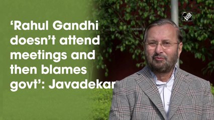 ‘Rahul Gandhi doesn’t attend meetings and then blames govt’: Javadekar