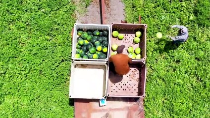 Türkiye’de ve dünyada ilk: Tarladaki Bereket Servisi