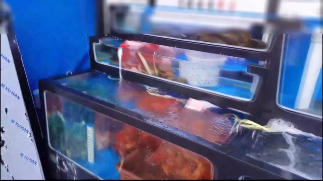 [경기] 일본산 방어 등 수산물을 국내산으로 둔갑 판매 적발 / YTN