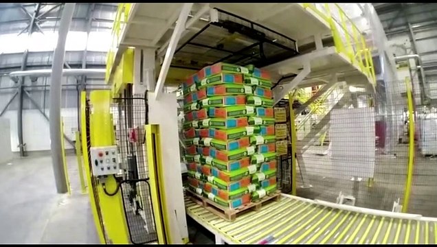 ENSACHEUSE1000 s/h EN SEMENCES/ 1000 b/h filling machine for seed