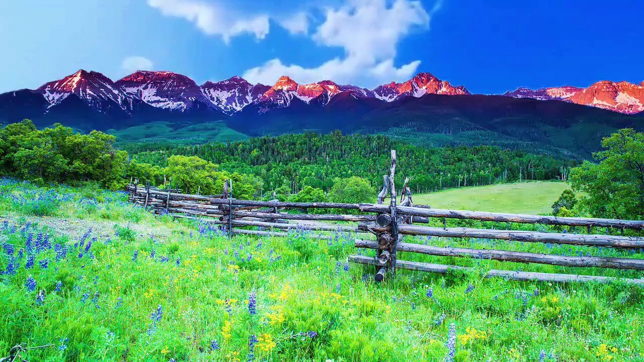 4K Mount Rainier National Park - Nature Relax Video, Summer Scenery -1 HRS