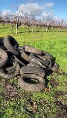Bernard Dalla-Longa, maire de Dieulivol (Gironde) découvre 200 pneus abandonnés dans sa commune
