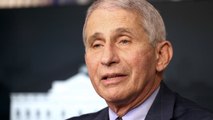 Dr. Anthony Fauci Urges Americans to Stay Home for Christmas