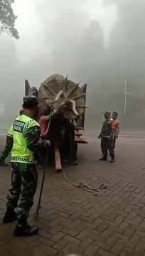 Les tricératops de ce parc de dinosaures indonésien semblent aussi réels qu'ils le sont