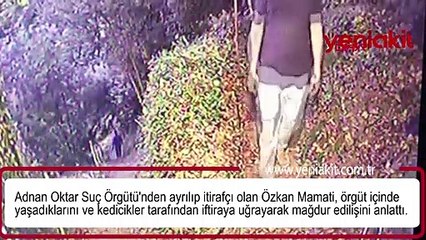 46 kedicik mağdur etmiş... İtirafçı olan şahıstan ağızları açık bırakan açıklamalar