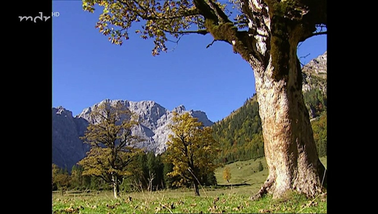 Sturm der Liebe Folge 283