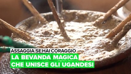 Assaggia se hai coraggio: La bevanda magica che unisce gli ugandesi.