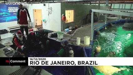 لحظة مشاركة بابا نويل لأسماك القرش: فيديو طريف سجلته الكاميرات