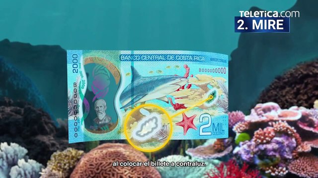 Banco Central le enseña cómo identificar los nuevos billetes