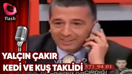 YALÇIN ÇAKIR - KEDİ VE KUŞ TAKLİDİ