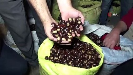 Türkiye'nin kestane pazarı kebapçılarla dolup taşıyor
