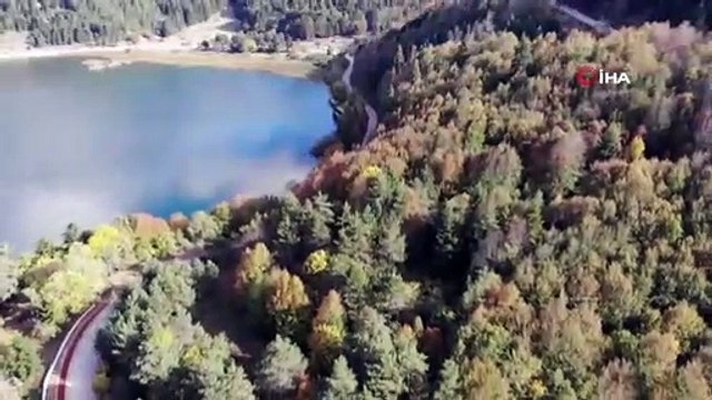 Abant Tabiat Parkı'nda sonbaharın tüm renkleri bir arada