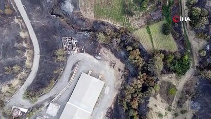 Ciğerlerimiz yandı...  Hatay'da yanan alanlar havadan görüntülendi