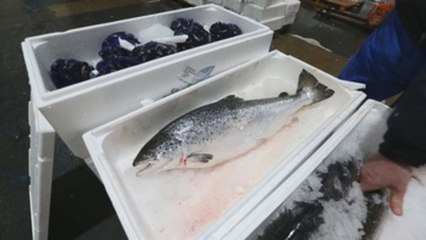 Von der Leyen y Johnson dicen que la pesca es el escollo para acuerdo Brexit