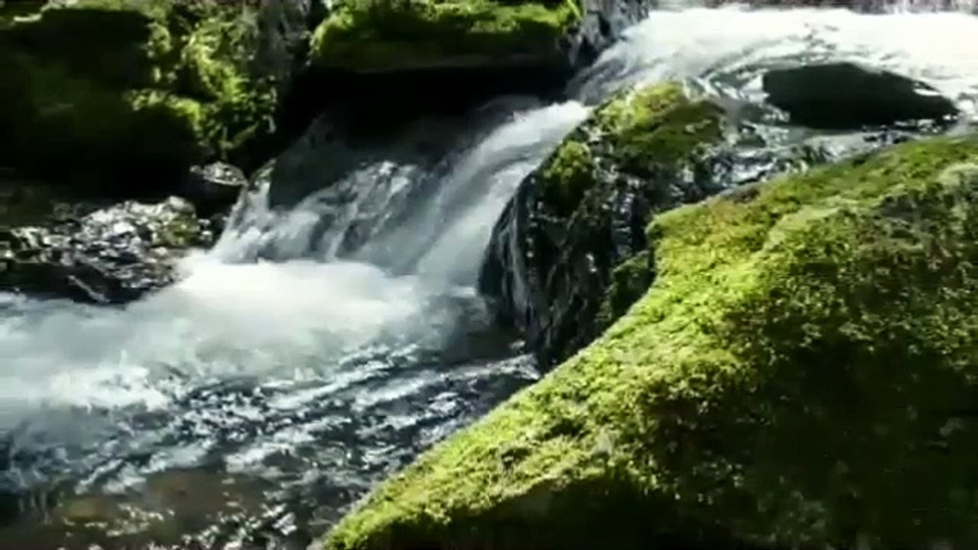 ⁣MOUNTAIN STREAM【Healing Music】【Relax Music】【Natural Sound】