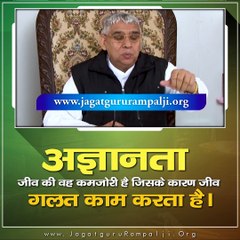 अज्ञानता जीव की वह कमजोरी है जिसके कारण जीव गलत काम करता है || Sant Rampal Ji Maharaj satsang ||