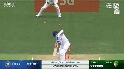 Starc wickets  2ñd blow to prthivi shaw in middle  stumps