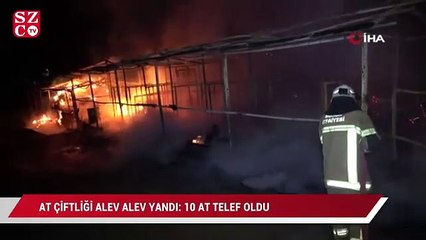 At çiftliği alev alev yandı: 10 at telef oldu