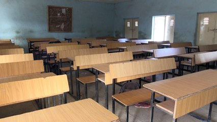 Al menos 300 estudiantes nigerianos liberados tras secuestro masivo