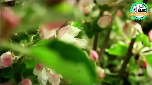 Azaan || Azan || Islamic 3D videos || 3D video || Islamic video ||