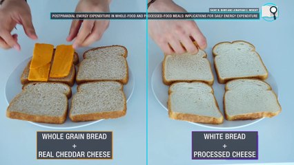 The Best Meal Plan To Lose Fat Faster