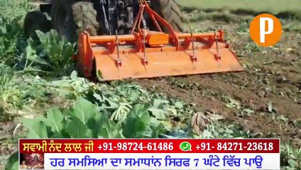 ਆਖ਼ਰ ਕਿਉ ਇਸ ਕਿਸਾਨ ਨੇ ਦੁੱਖੀ ਹੋਕੇ ਆਪਣੀ ਹੀ ਖੜੀ ਫ਼ਸਲ ਤੇ ਚਲਾ ਦਿੱਤਾ ਟਰੈਕਟਰ - ਦੇਖੋ ਵੀਡੀਉ