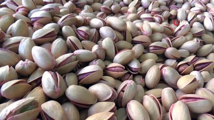 Siirt fıstığı kendi markasıyla ilk ihracatını Almanya’ya gerçekleştirdi