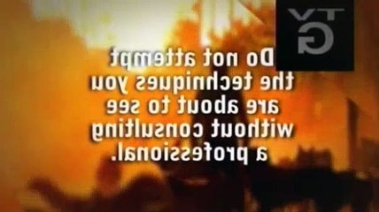 The Dog Whisperer Season 7 Episode 10 Stella & Nala And Phoebe (No Man's Land)