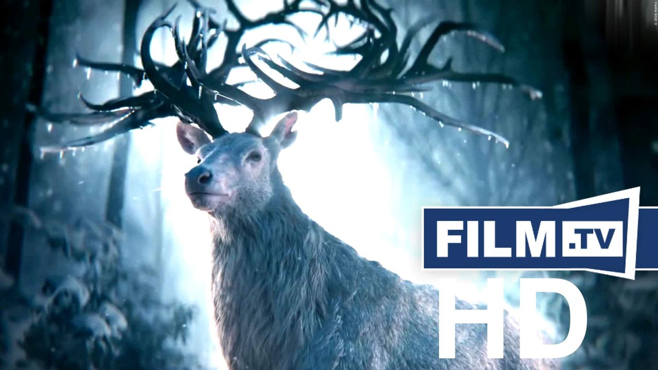 Shadow and Bone Trailer Englisch English (2021)