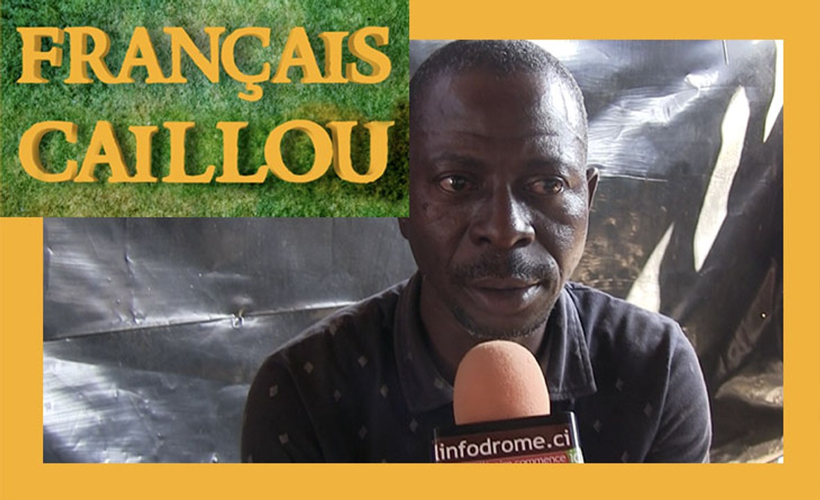 Avoir une araignée au plafond